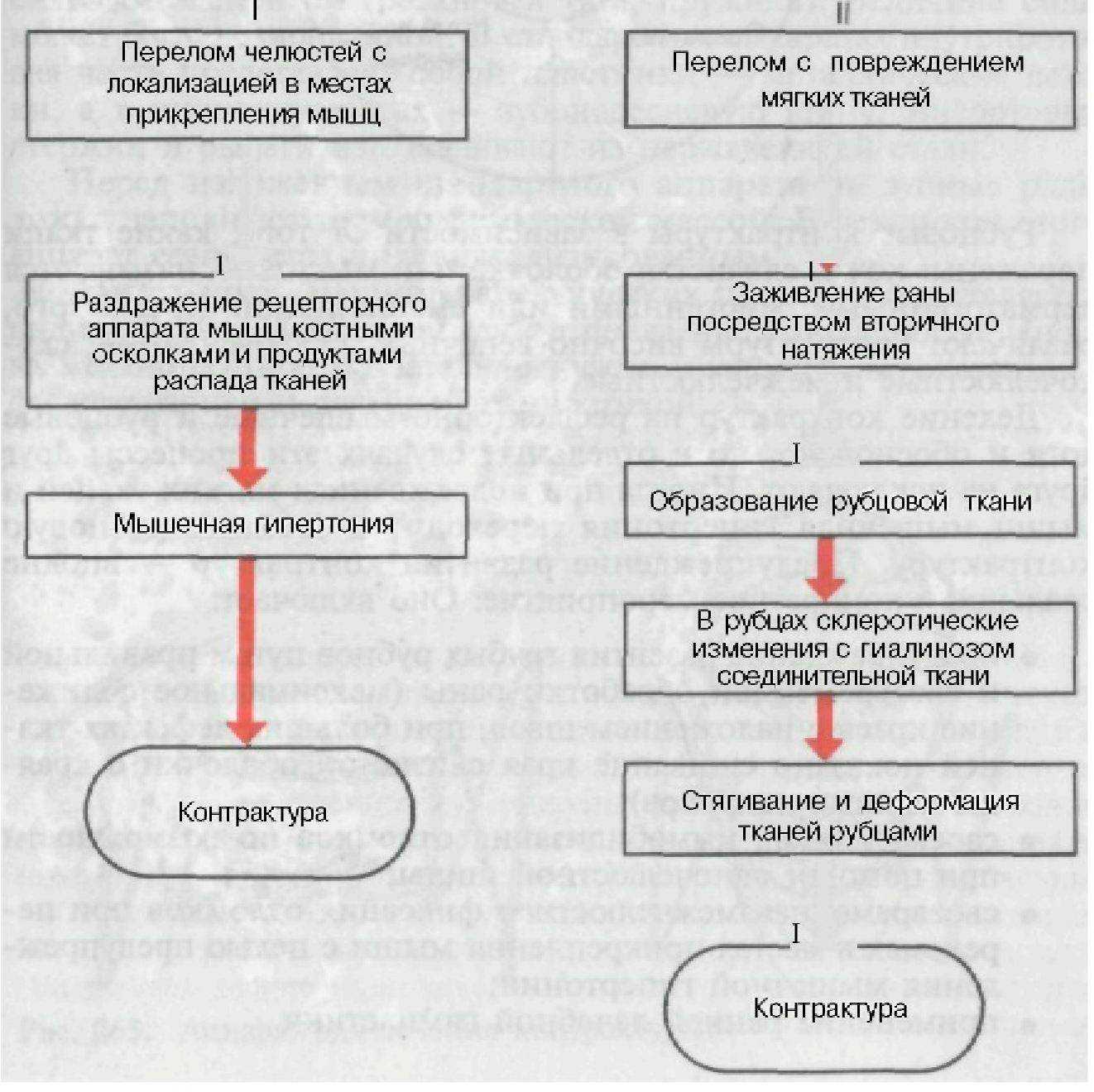 Контрактура Работа Мышц Реферат Контрактура Работа Мышц Реферат