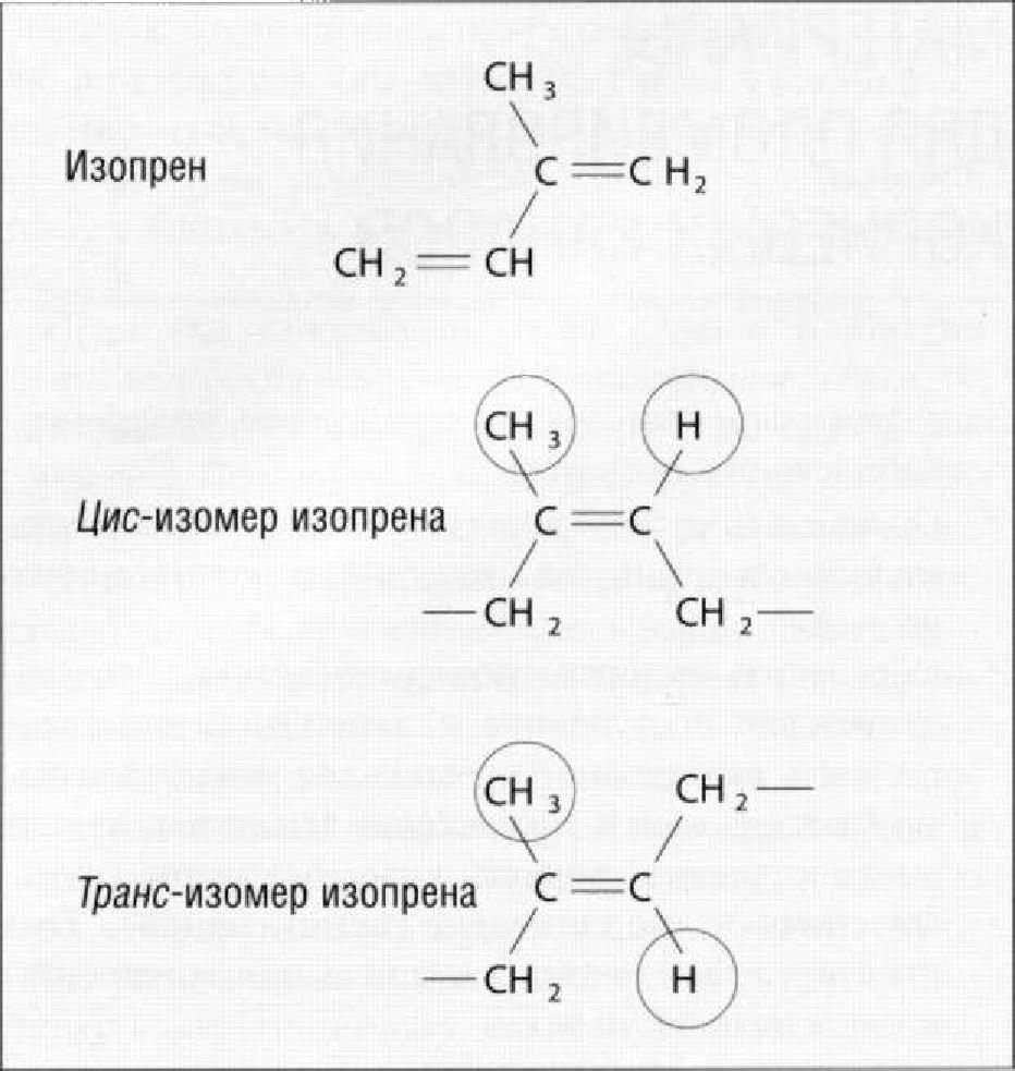 3. цис изопреновый каучук. структурная формула 2 метилбутадиена. структурная формула 2-метилбутадиена-1. изопрен изомерия.