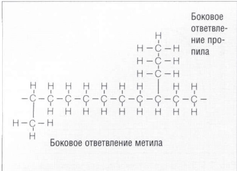 Основы архитектуры кильпе т л